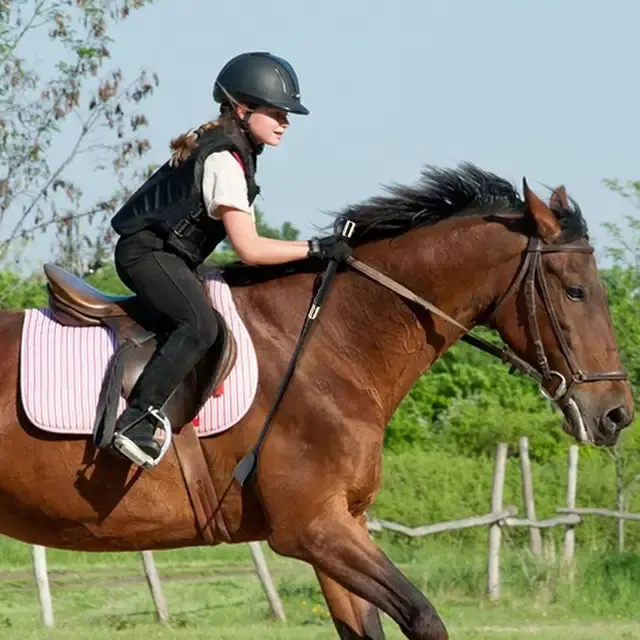 Reitgerte 3