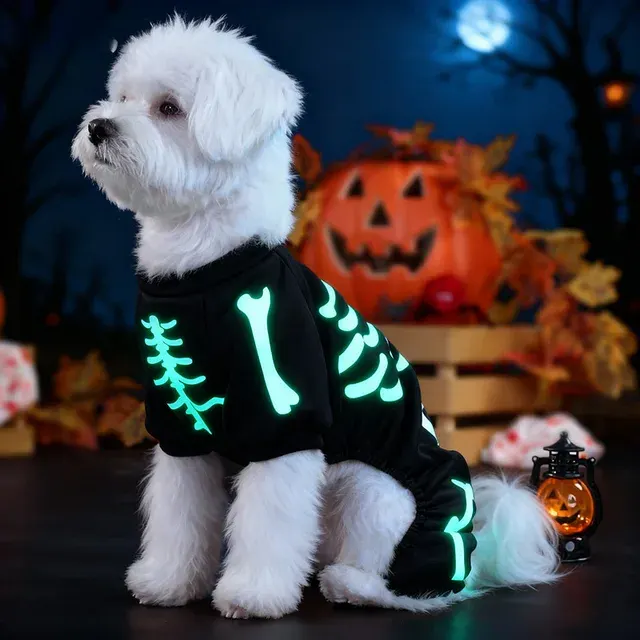 Hunde-Halloween-Kostüm 3