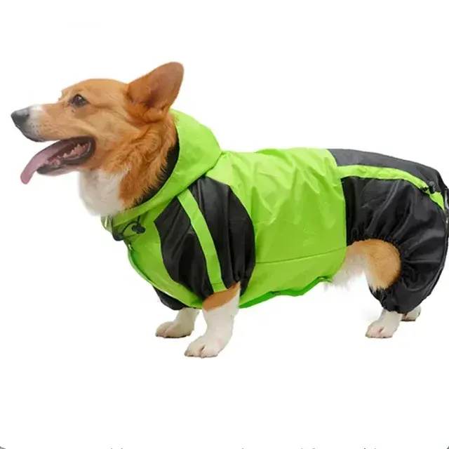 Hunde-Regenmantel 4