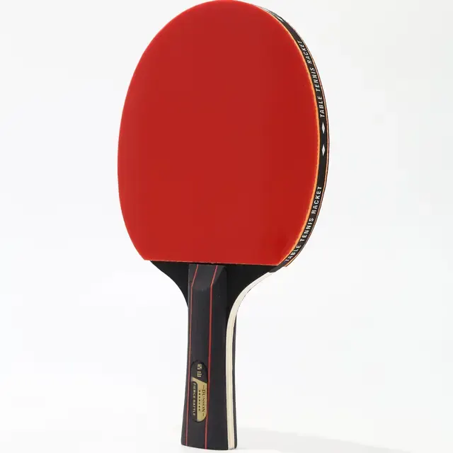 Tischtennisschläger 2