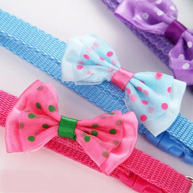 Haustierhalsband 2