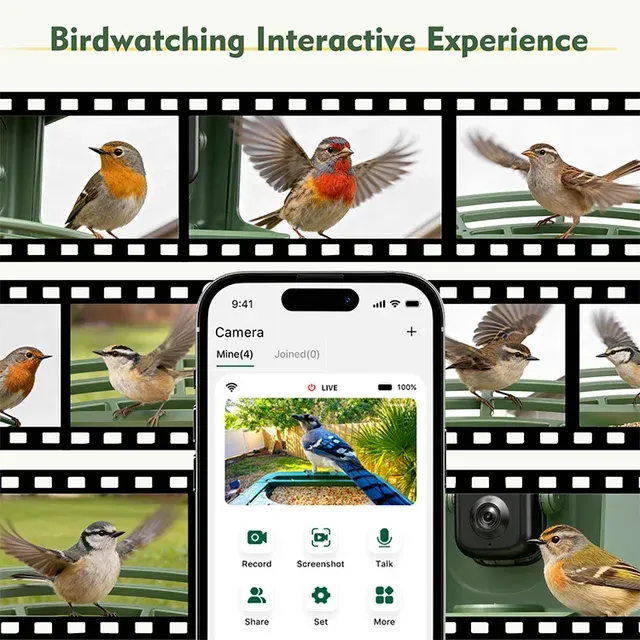 Smart Vogelfutterspender mit Kamera 4