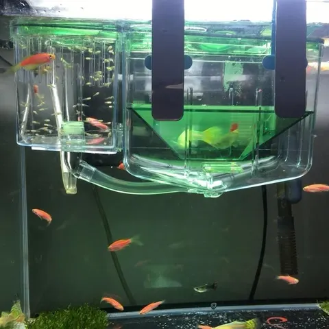 Fischbrutbox