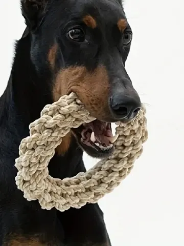 Hunde-Seilspielzeug