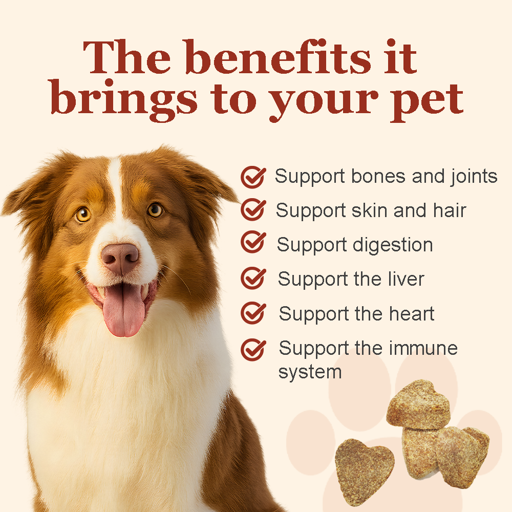 Omega-3 Lachsöl-Kautabletten für Hunde und Katzen 3