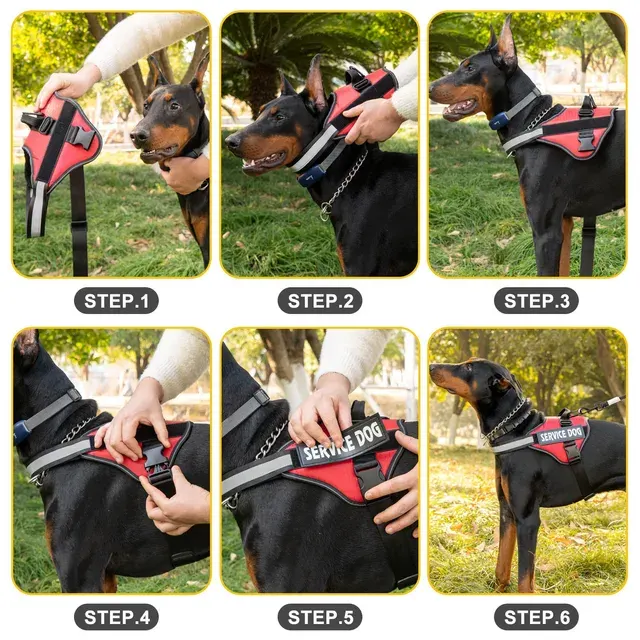Hundegeschirr 3