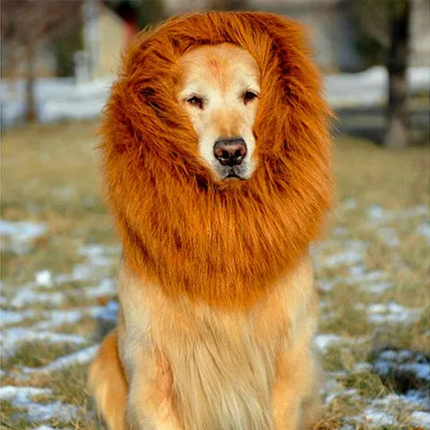 Hunde-Perückenkostüm