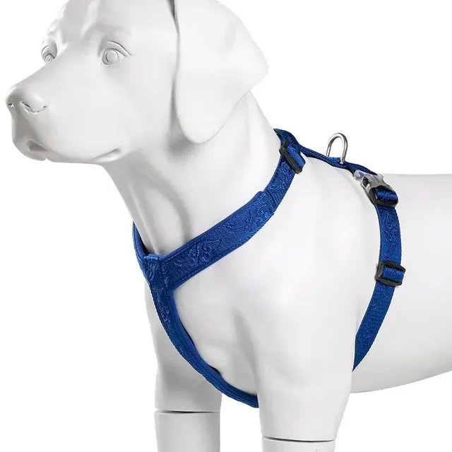 Hundegeschirr 3