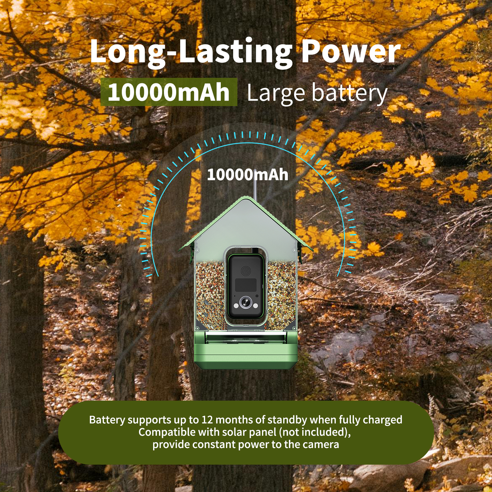 Smart Vogelfutterspender mit Kamera 3