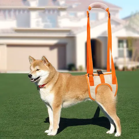Hunde-Hebegeschirr