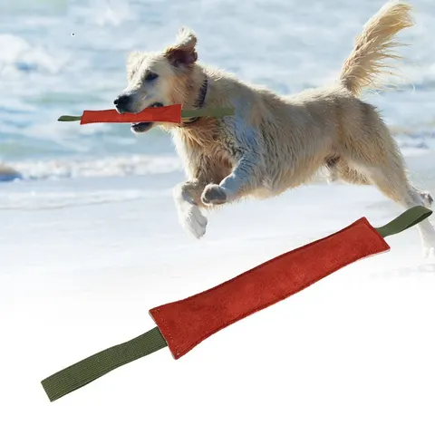 Hunde-Kauspielzeug