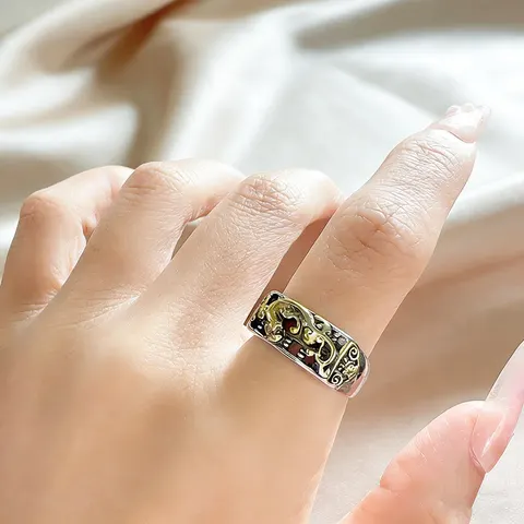 Offener Ring