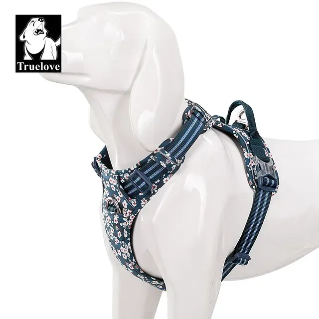 Hundegeschirr 4