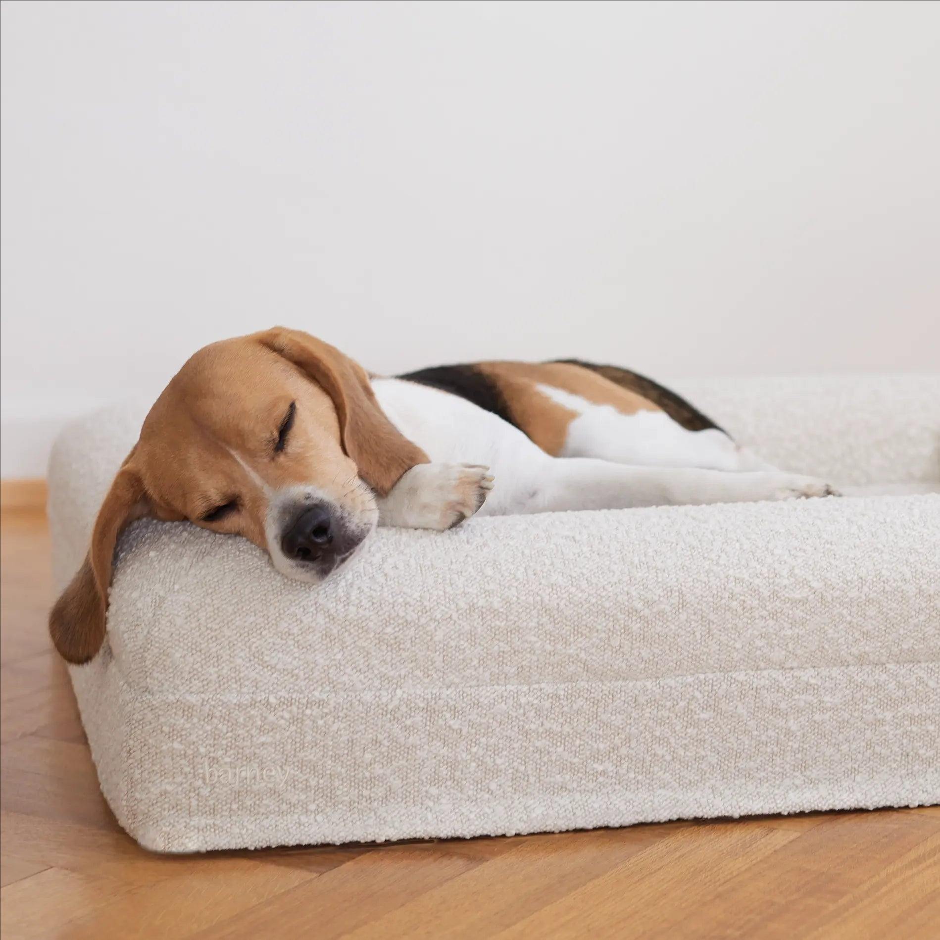 Wasserdichtes Bouclé-Hundebett mit Reißverschluss 4