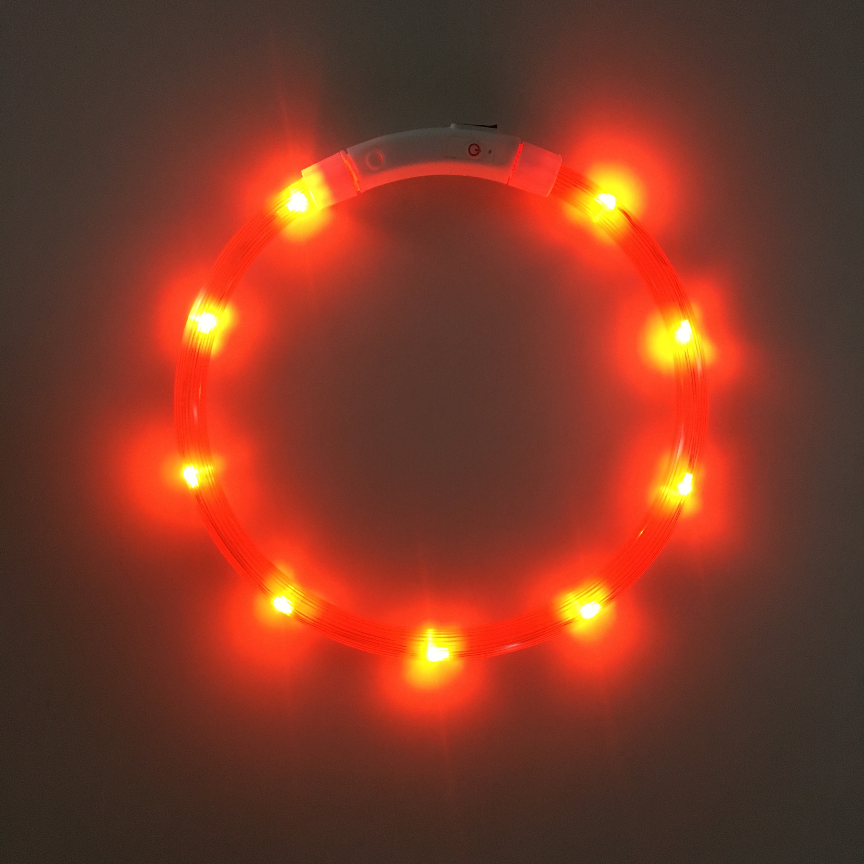 Ökologisches LED-Hundehalsband mit USB-Aufladung 3