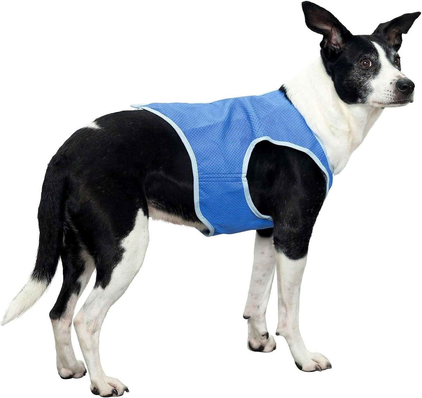 Kühlweste für Hunde und Katzen im Sommer