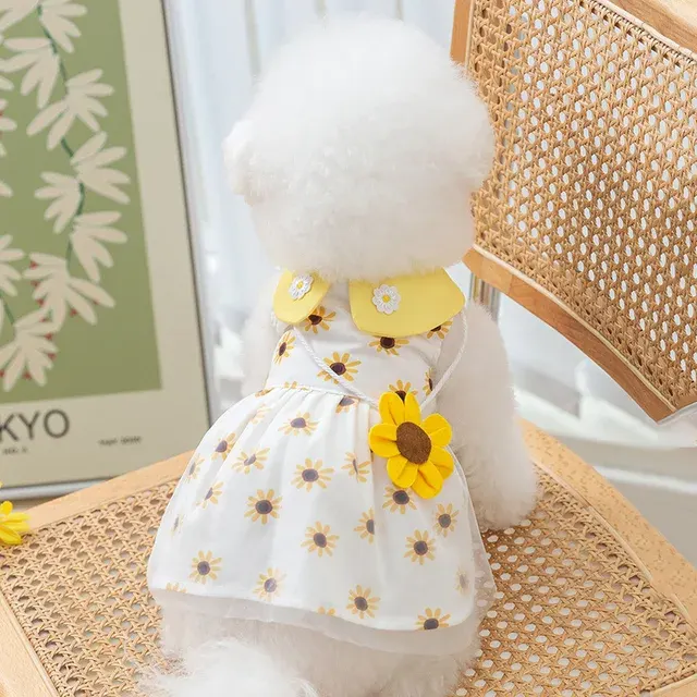 Hundekleid 3