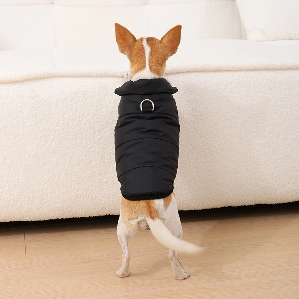 Hundewinterjacke 4