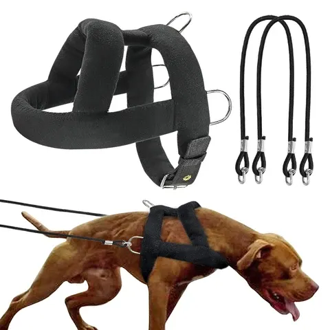 Hunde-Zuggeschirr