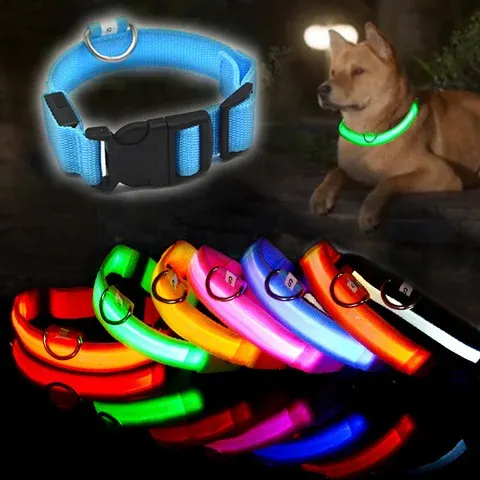 LED-Hundehalsband