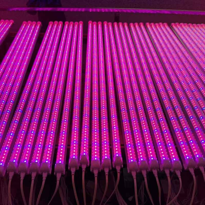 Dimmbare LED Pflanzenröhre 9000K 6500K Wasserdicht 3