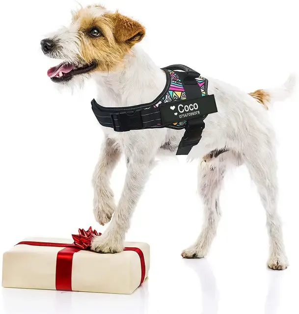 LED-Hundegeschirr-Weste 2
