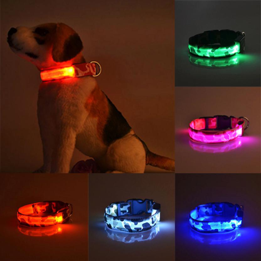 Leuchtendes LED-Hundehalsband gegen Verlust 2
