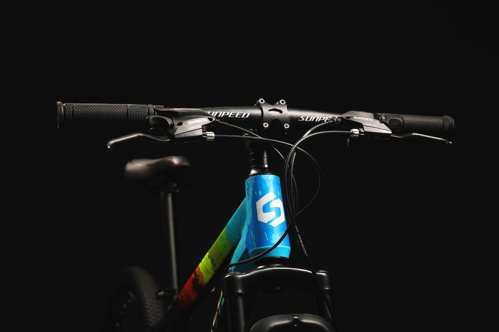 29er-Mountainbike für sportliche Fahrer 3