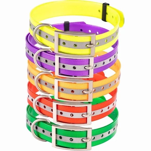 Hundehalsband 2