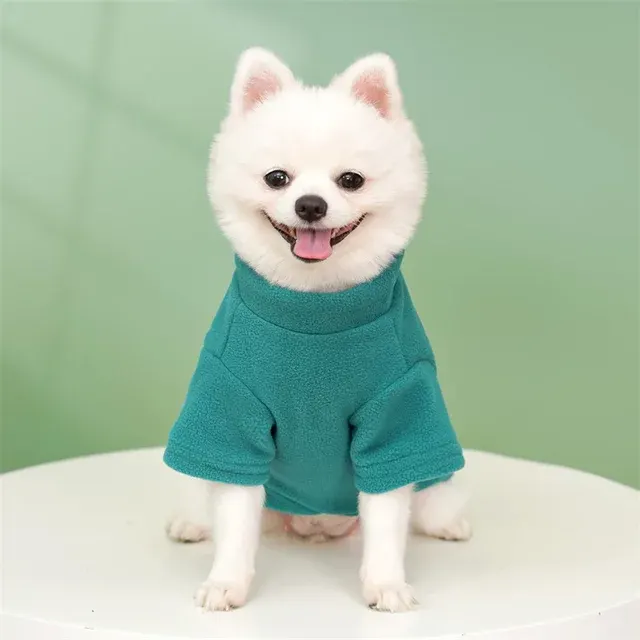 Hundehoodie 3