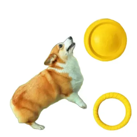 Hunde-Ringspielzeug
