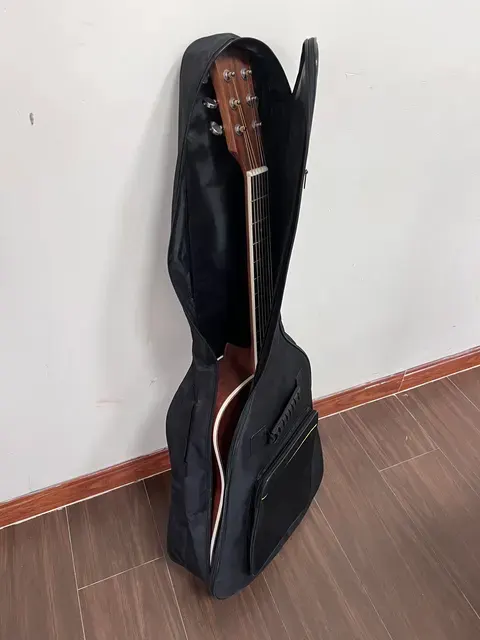 Gitarren-Gigbag 2