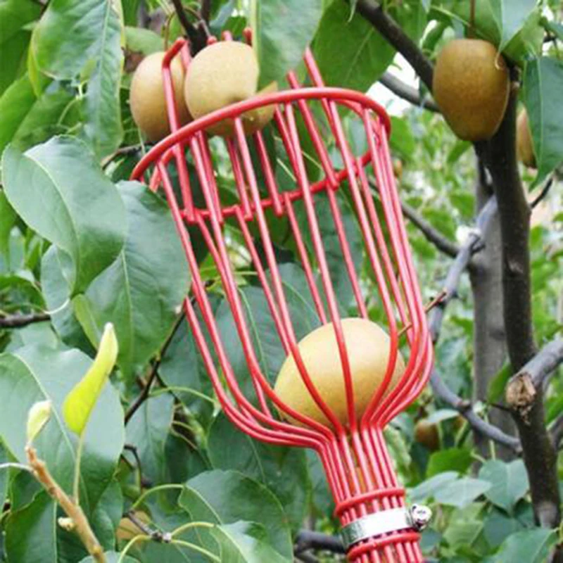 Obstpflücker 3