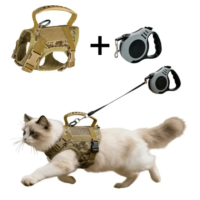 Katzengeschirr mit Leine 2