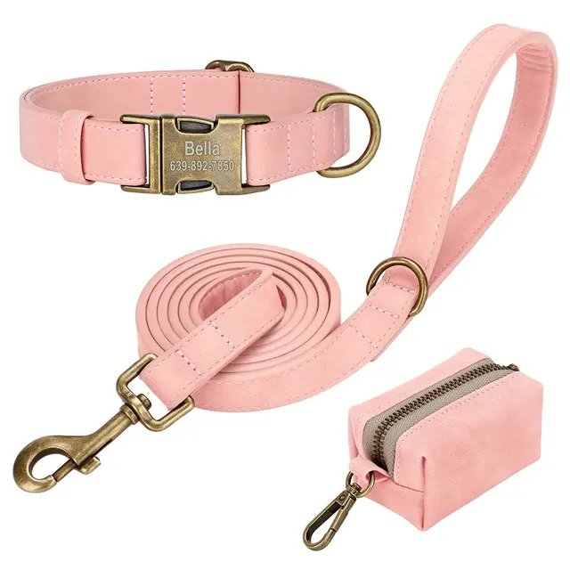 Personalisiertes Hundehalsband-Leine-Set 3
