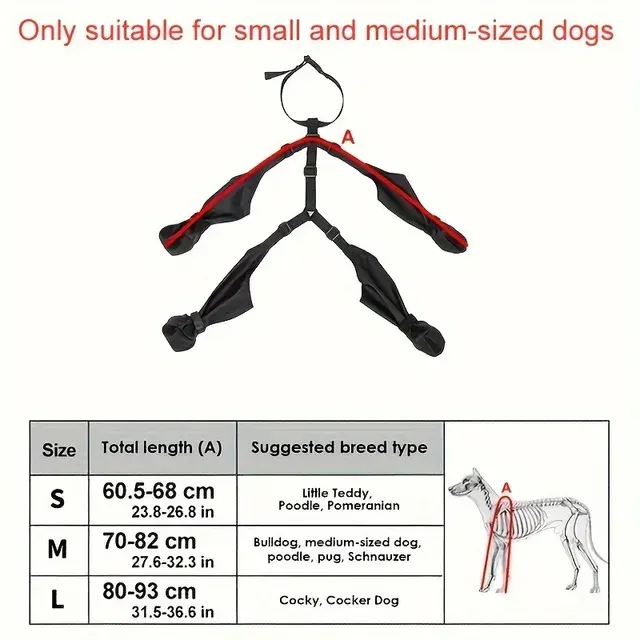 Hunde-Regenstiefel 3