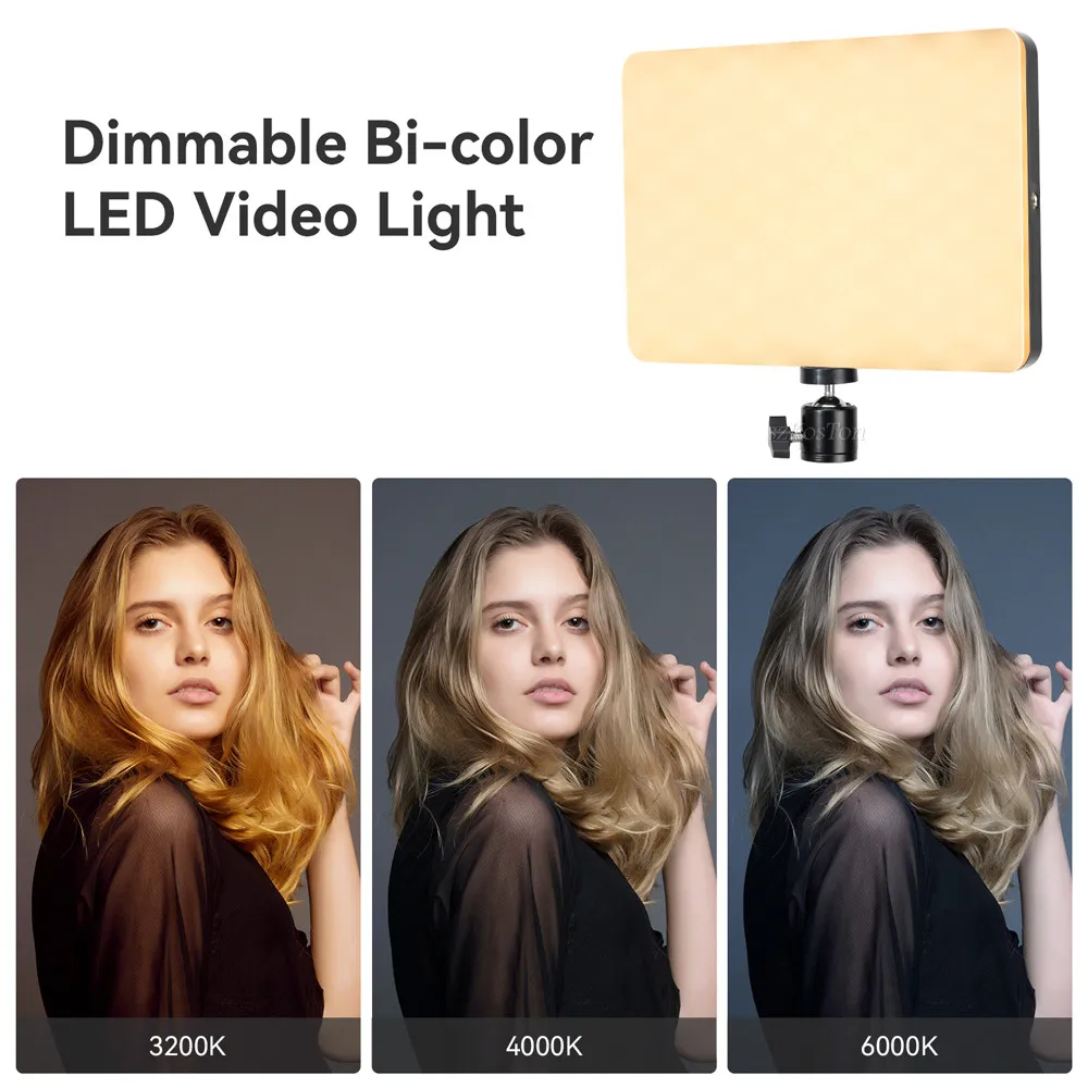 LED-Videopanel 2
