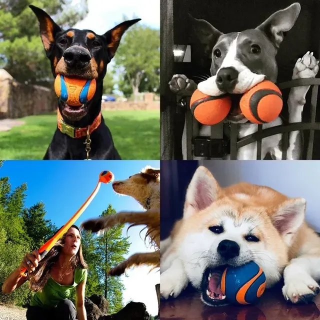 Hundeball 4