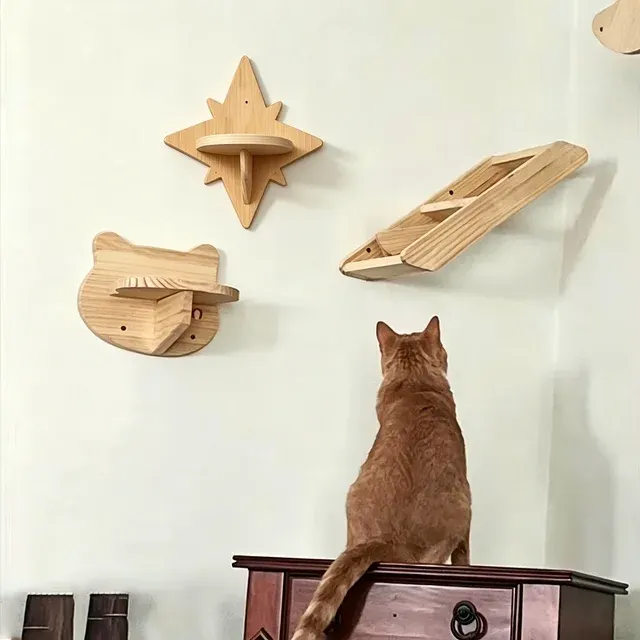 Katzen-Kletterwand 2
