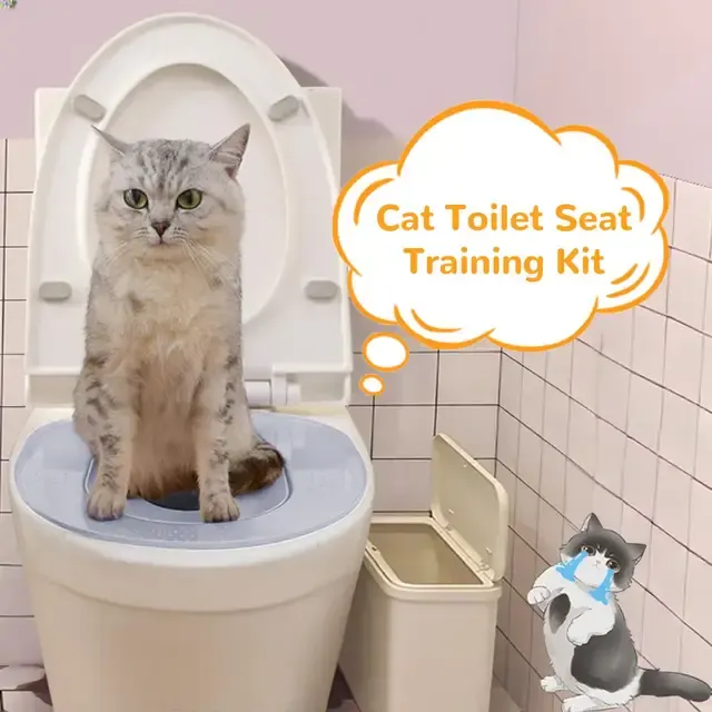 Katzen-Toilettentrainingsset 2