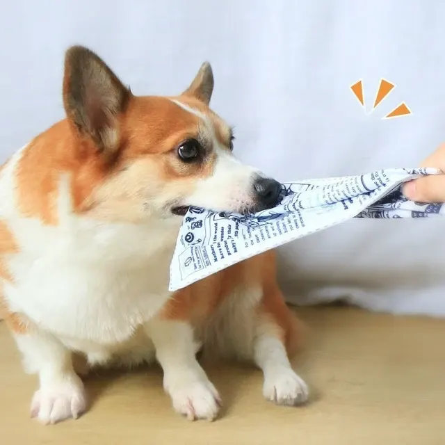 Papier-Hundespielzeug 2