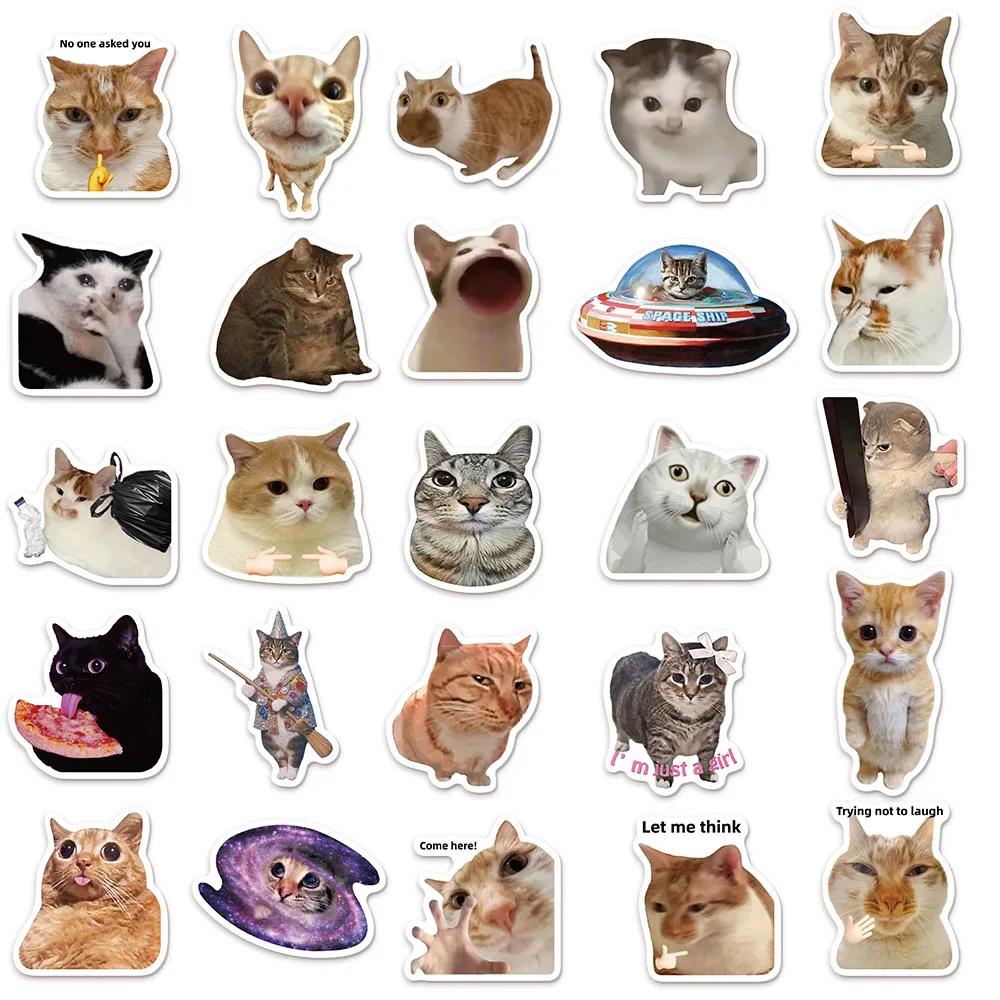 Katzen-Meme Wasserflaschen-Aufkleber Set 4