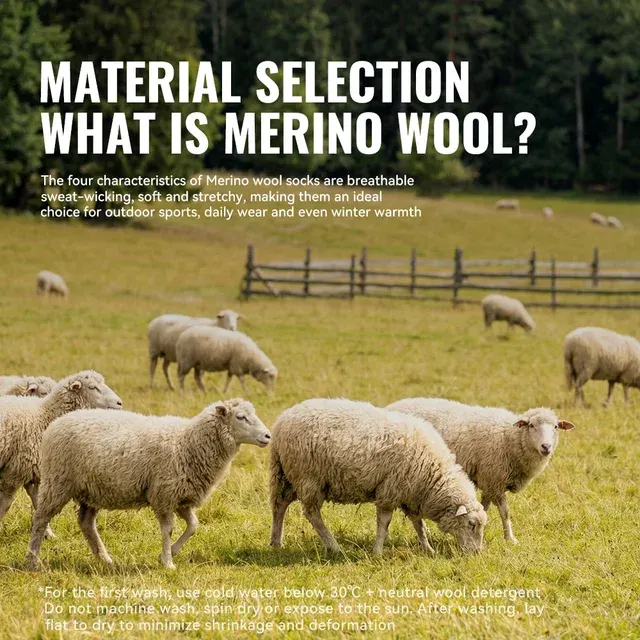 Merino-Zehensocken 3