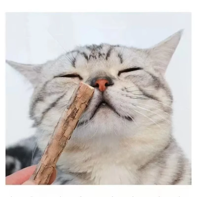 20 Katzenminze-Kaustäbchen aus Holzraute