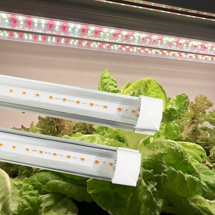 Mikrogrün Anzucht T8 LED Röhrenlampe 4