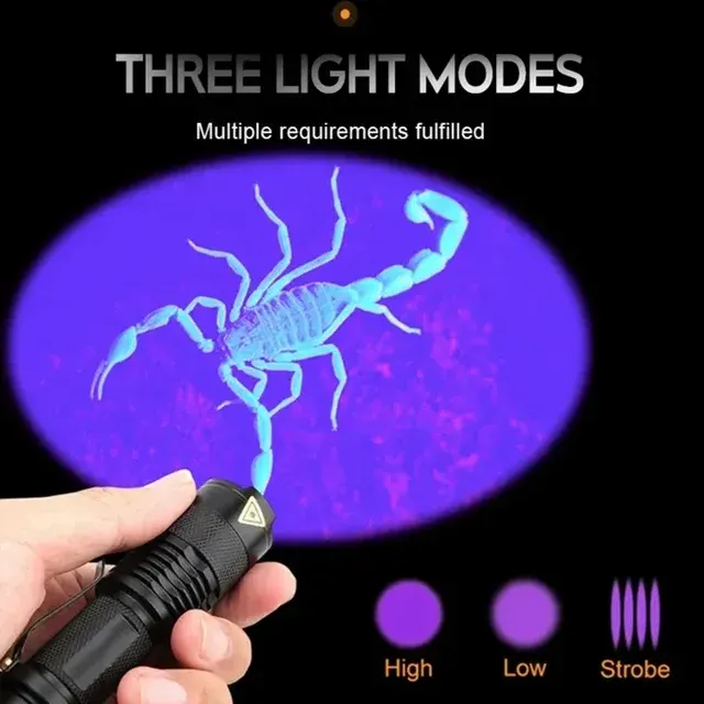 Zoombare UV-Taschenlampe 365/395 nm 3