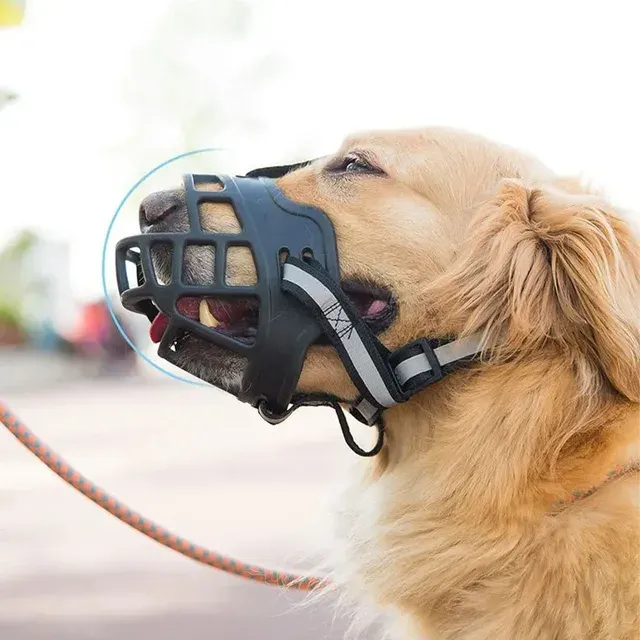 Hundemaulkorb 2