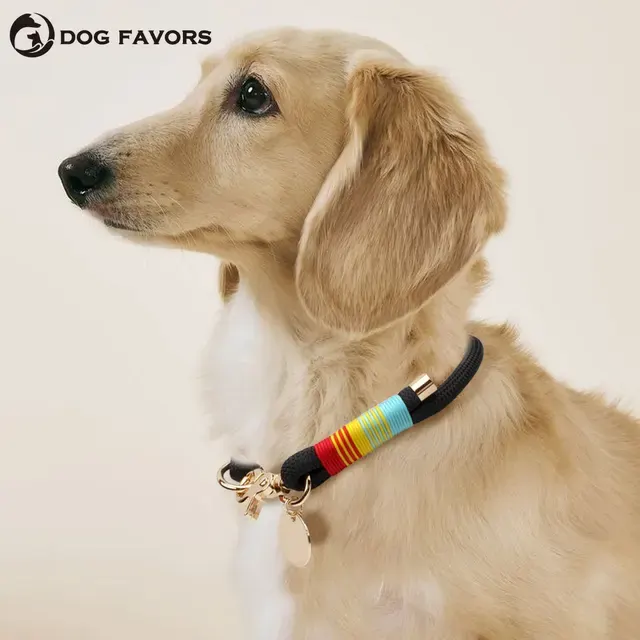 Nylon-Hundehalsband 1