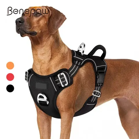 Hundegeschirr ohne Zug