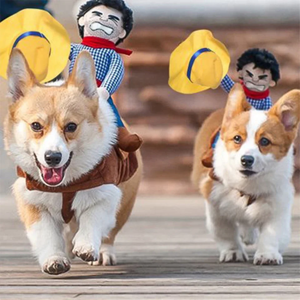 Hunde-Halloweenkostüm 4